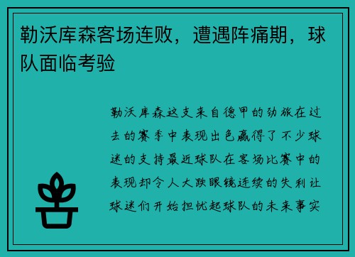 勒沃库森客场连败，遭遇阵痛期，球队面临考验